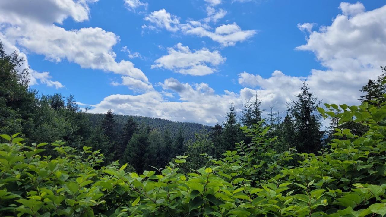 Wohlfuehl-ferienwohnung Mit Tiefgarage Im Gruenen Appartement Oberhof (Thuringia)