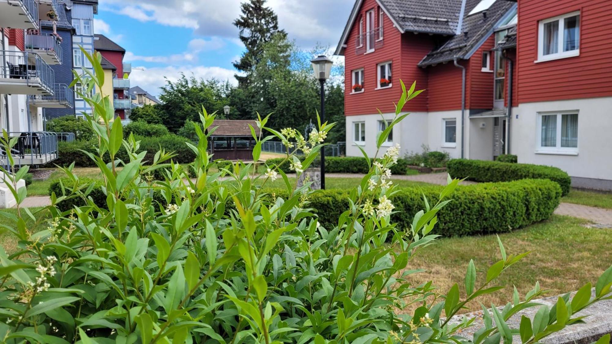 Wohlfuehl-ferienwohnung Mit Tiefgarage Im Gruenen *
